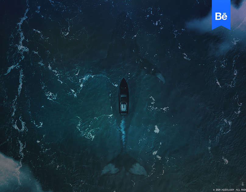 Insurance Company - Manipulation AD Design